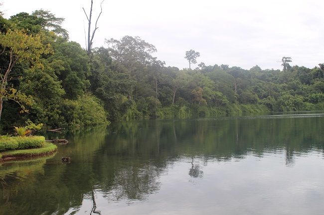 Il y avait de la brume sur le lac
