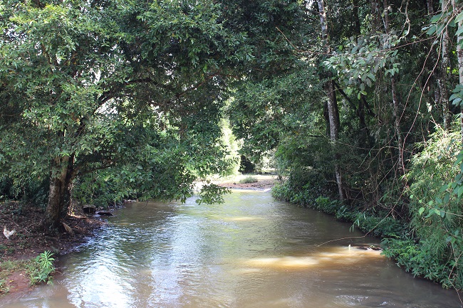 Rivière près de Katieng
